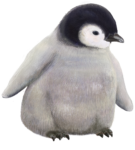ペンギン無料イラスト素材